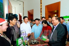 Herbal medicine hoped to be part of economic development priorities