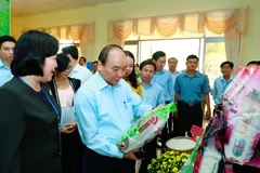It’s time to reform Vietnam’s rice sector, says Prime Minister
