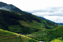 Yen Bai develops concentrated tourist areas 