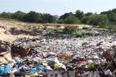 Untreated waste pollutes environment in Vinh Phuc