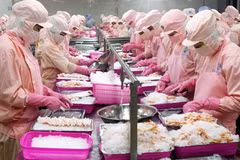 US extends antidumping duties on shrimp imports from Vietnam