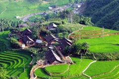 Homestay cluster in Lao Cai grabs ASEAN award 