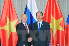 APEC 2017: Vietnamese, Russian Presidents hold meeting 