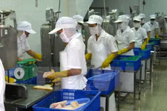 Vietnam – EAEU joint FTA committee commences first session 