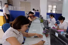 Finance, banking, insurance industry grows strongly 