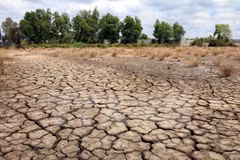  Mekong Delta provinces ensure schedule of climate change projects