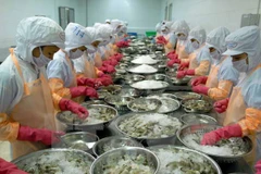 Japanese food companies increase presence in Vietnam