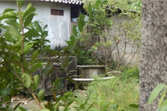  Vermicelli pollution in Hue city cleaned up