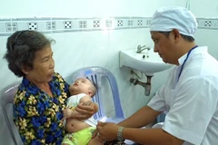 Can Tho steps up measures to prevent dengue fever