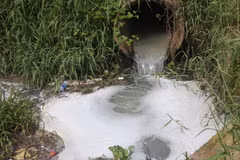 Lam Dong fines company for illegally discharging wastewater