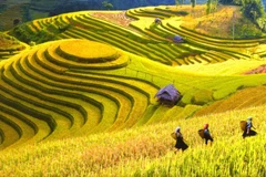 Vietnam named among 20 most beautiful countries
