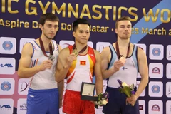 Vietnam pockets golds at gymnastics, taekwondo championships