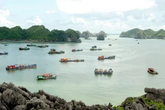 Work starts for big tourism complex in Cat Ba Islands 