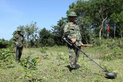 Binh Phuoc handles post-war bomb, ordnance leftovers