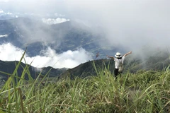Red Dao 'capital’ is mountain wonderland