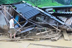 Up to three storms, low pressures to hit Vietnam by year-end