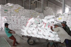 VN’s rice export price hits 3-year high