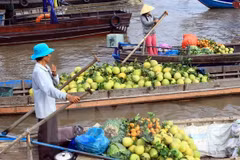 Can Tho works to develop Cai Rang floating market