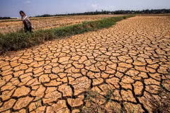 Southern region to see less drought, more rain in 2017 dry season