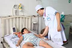 Dengue fever on the rise in Mekong Delta 