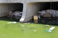 Pollution degrades marine biodiversity
