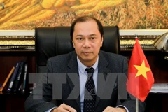 Vietnam contributes to ASEAN Summit’s success: diplomat