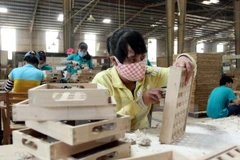 Wood exports likely to reach 7.6 billion USD, surpassing yearly target