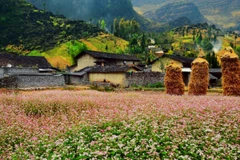 Ha Giang culture celebrated in Hanoi 