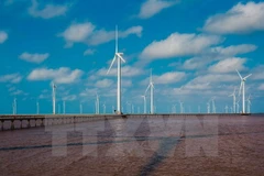 Bac Lieu attractive to foreign wind power firms