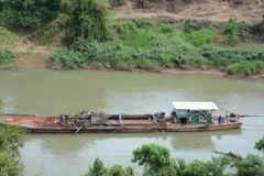  Landslide havoc prompts ban on sand mining in Dong Nai River