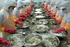 Vietnam-EAEU FTA gives boost to economic, trade ties