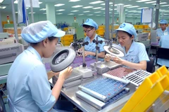 Firms move to push out veteran labourers