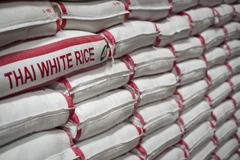 Thai Government helps farmers stabilise rice prices 