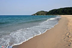Ha Tinh launches beach clean-up campaign
