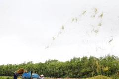 Can Tho eyes expanded ties with Australia in hi-tech agriculture