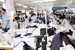 ASEAN free trade to put pressure on Vietnam