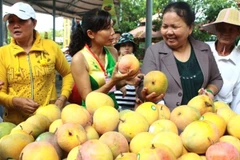 Global food safety forum opens in Ho Chi Minh City 