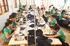 Firms urged to focus on branding