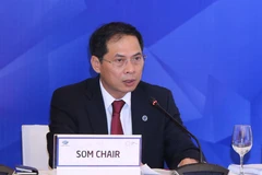 APEC committees, working groups finish 10th day of SOM 1