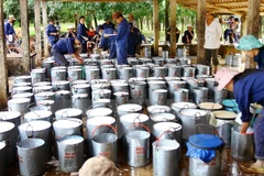 Vietnam earns 392 mln USD from rubber export in two months 