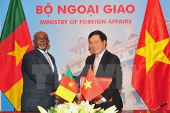 Cameroon keen on broadening affiliation with Vietnam 