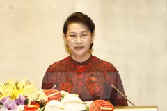 NA Chairwoman calls for national efforts to overcome difficulties