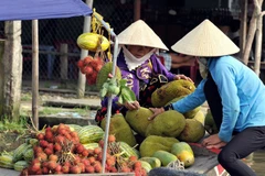  Government hopes new model will bear fruit