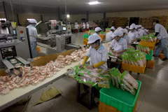 Experts urge private economy boost