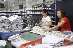 Vietnam boasts opportunities to export products to Africa, Middle East