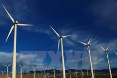 Vietnam, RoK enhance energy cooperation