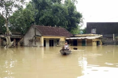Government gives further flood relief to Binh Dinh province