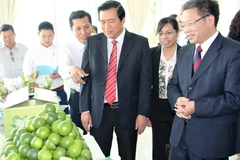 Long An, Chinese locality strengthen cooperation