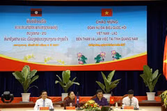 Vietnamese, Lao women parliamentarians visit Quang Nam