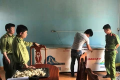 Tigers’ bodies found in wine tank